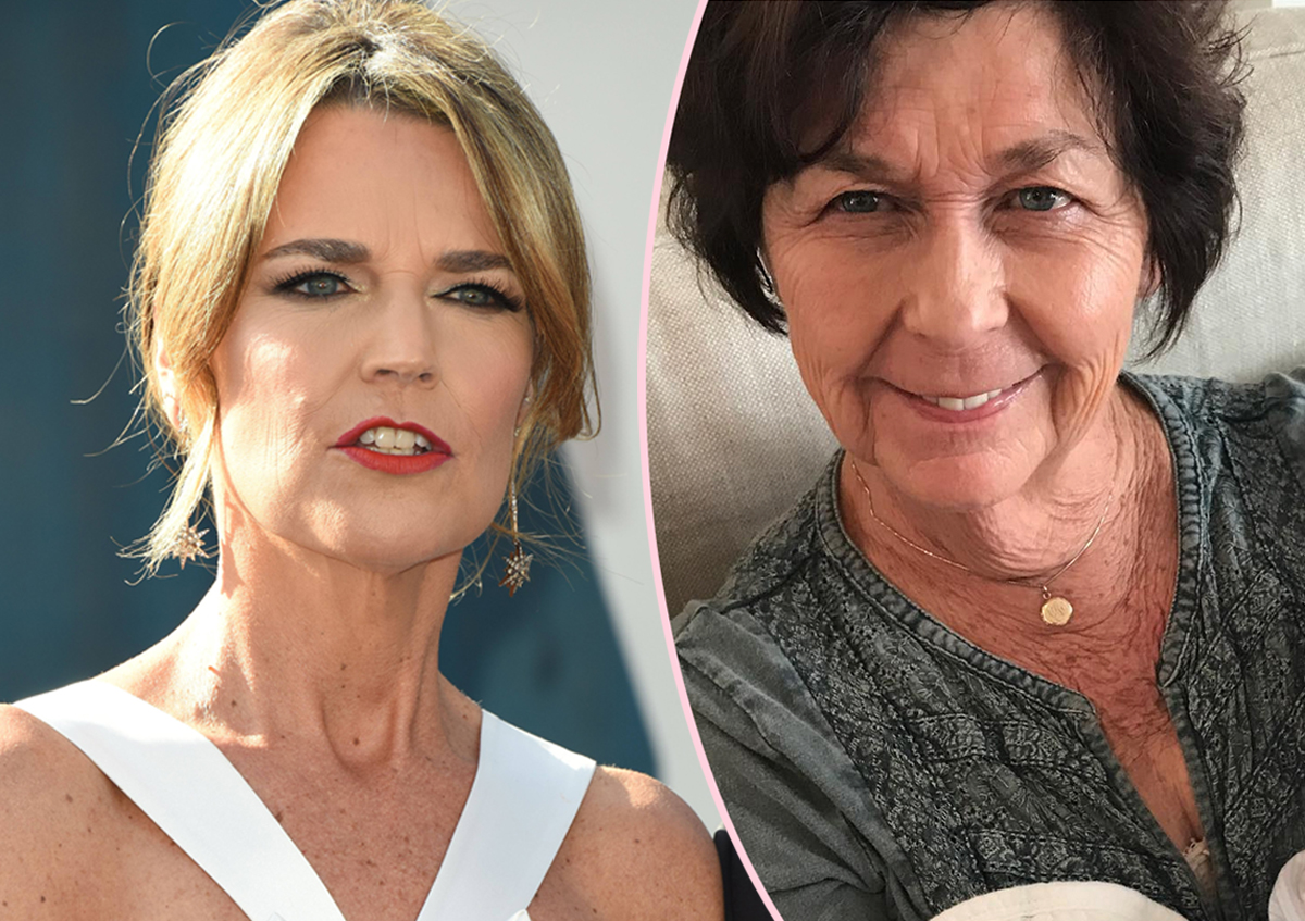 Nancy Guthrie Missing: Cops Reportedly Discover Camera On&hellip;