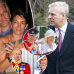 Ghislaine Maxwell's Brother Slams Royals For Not Supporting Andrew -- And Defends Her, Saying She Was A 'Scapegoat' For Epstein's Crimes