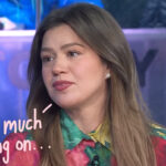Kelly Clarkson Says She Had 'Too Much On' Her Plate To Continue Talk Show!
