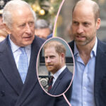 King Charles & Prince William Are Not Speaking -- Dynamic Is Worse Than With Harry! 