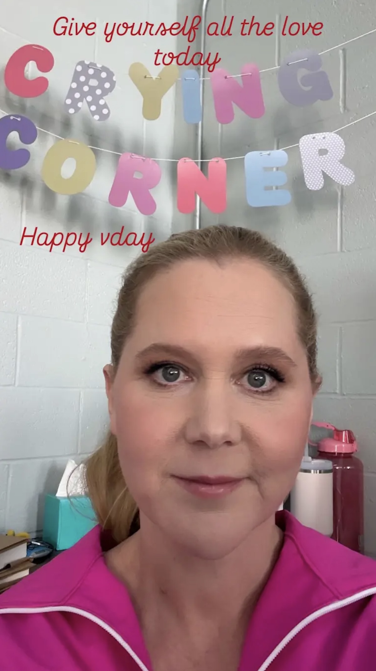 Amy Schumer Makes Heartbreaking But Real AF Valentine's Day Post After Divorce From Chris Fischer