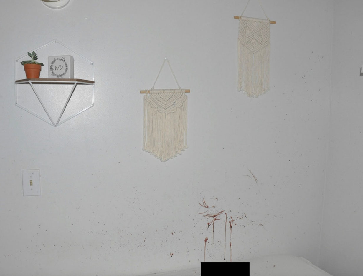 Bryan Kohberger crime scene