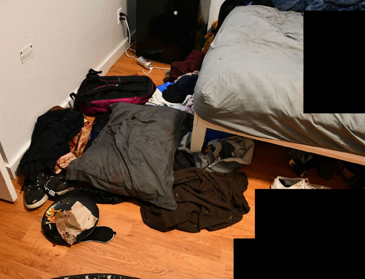 Bryan Kohberger crime scene