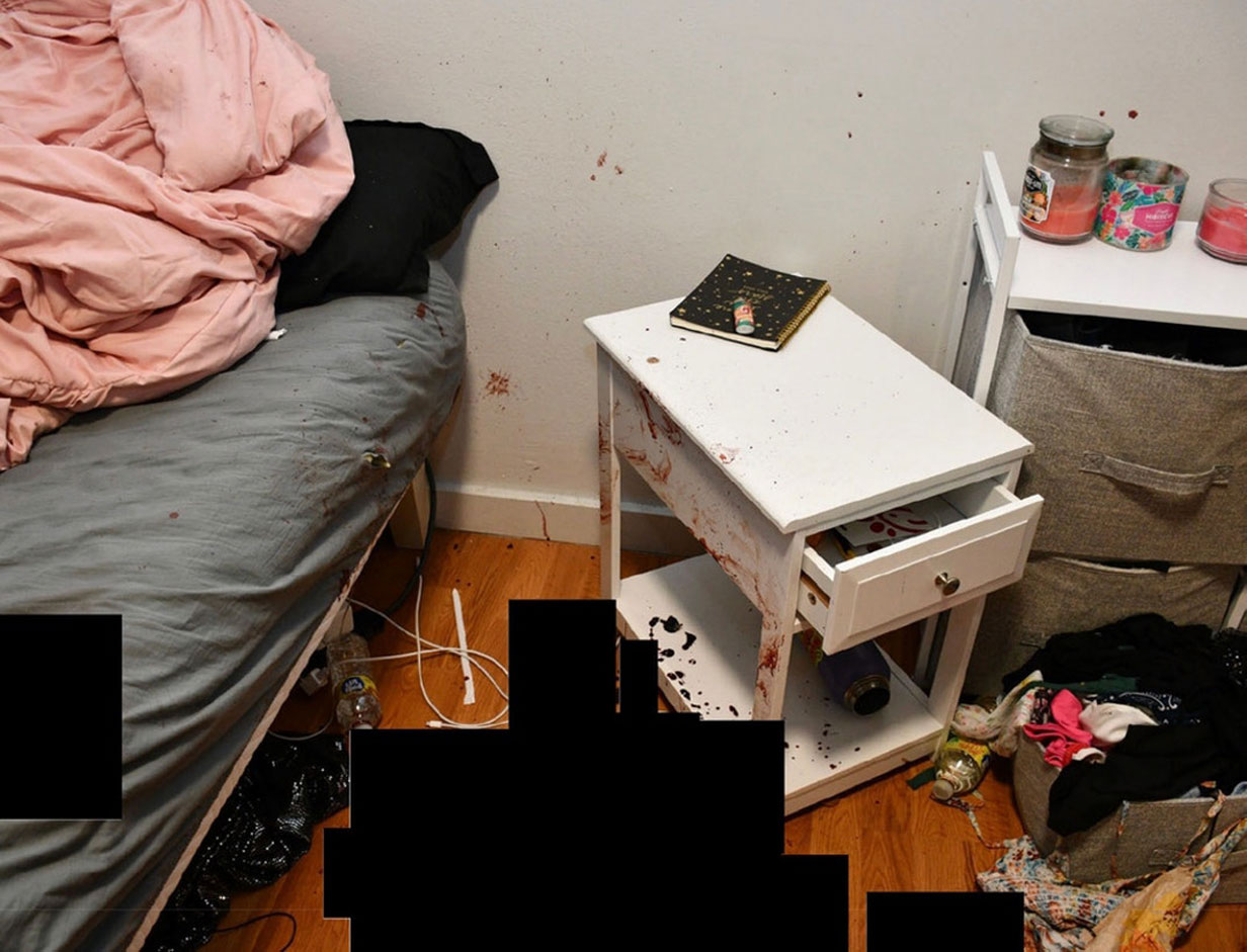 Bryan Kohberger crime scene