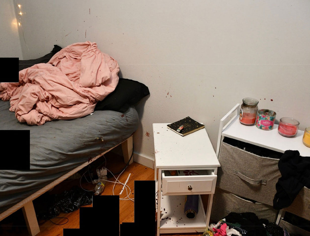 Bryan Kohberger crime scene