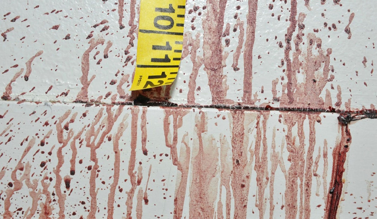 Bryan Kohberger crime scene