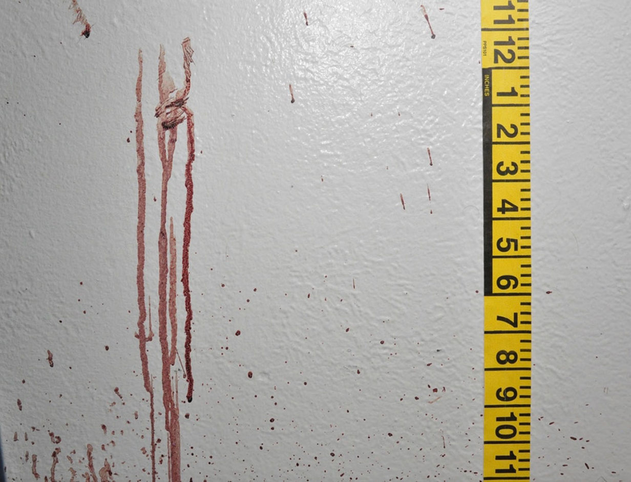 Bryan Kohberger crime scene