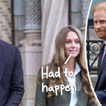 Princess Catherine KNEW Prince Harry Wanted Out! Why She Didn't Fight It Like 'Saddened' Prince William Did!