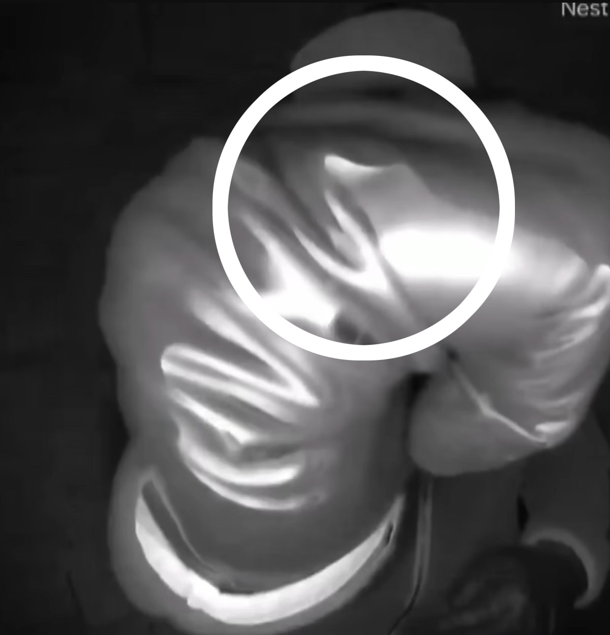 NEW Clue Discovered In Nancy Guthrie's Doorbell Camera -- Could This Help Find Suspect??