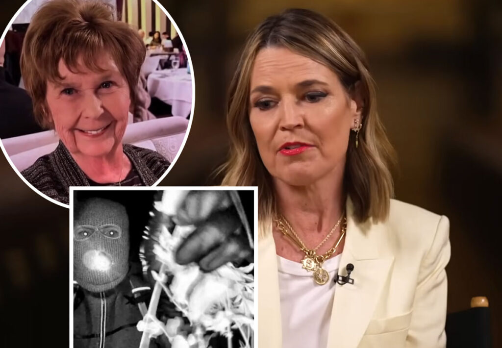 New Video Of Nancy Guthrie Suspect Shows Why There Were Flowers By Blood At Doorstep