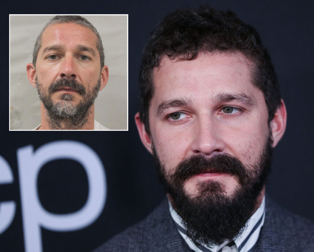 Shia LaBeouf Ordered To Attend Rehab & Pay $100,000 Bond After Arrest