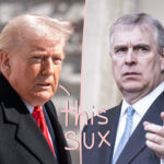 Trump Says It's 'A Very Sad Thing' Andrew Got Arrested Amid Epstein Files Fallout