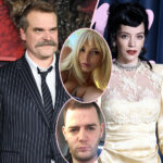 Model Linked To David Harbour KICKED OUT Of Lily Allen's Producer's Birthday Party -- Details!