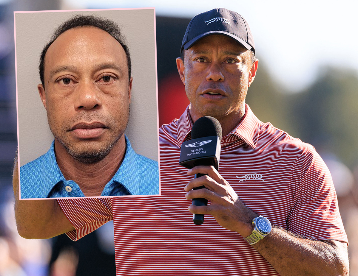 Tiger Woods’ Former Employee Slams Golfer As ‘A Terrible Driver’ – But Doesn’t Think He Was On ‘Illegal Drugs’ At The Time Of DUI Arrest Tiger Woods’ Former Employee Slams Golfer As ‘A Terrible Driver’ – But Doesn’t Think He Was On ‘Illegal Drugs’ At The Time Of DUI Arrest