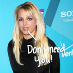 Britney Spears Fired Sober Coaches Before Arrest -- How She Feels About Team's Suggested Treatment Options Now!