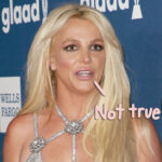 Britney Spears DUI Arrest: Breaking Down The Biggest Misconception!