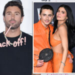 Kylie Jenner’s Brother Brody Defends Timothée Chalamet After Rumor Of Adult Entertainer Romance!