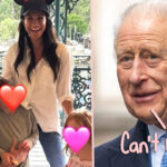 King Charles & Prince Harry Planning Another Reunion -- With Grandkids! Details!