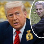 Jeffrey Epstein's Accountant Testifies Trump Accuser Received Money From Their 'Survivor Fund' -- And More Startling Revelations, Per House Rep