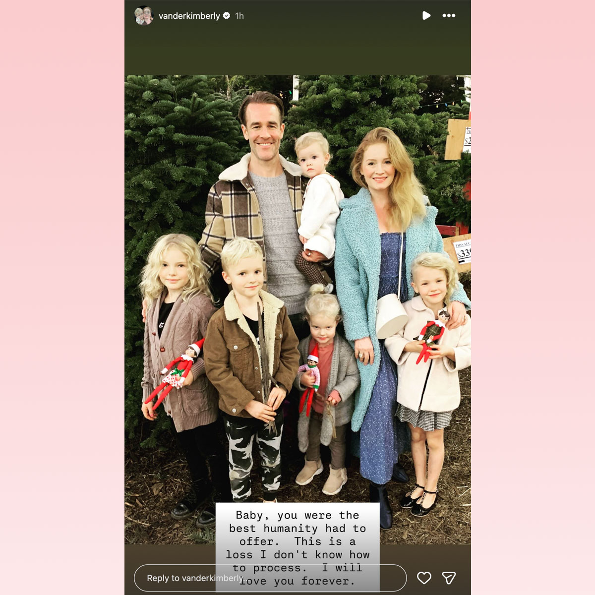 James Van Der Beek posthumous 49th birthday