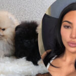 Kim Kardashian Shares Pics Of The 4 Puppies She Got Her Kids On Christmas -- And Reignites Controversy!