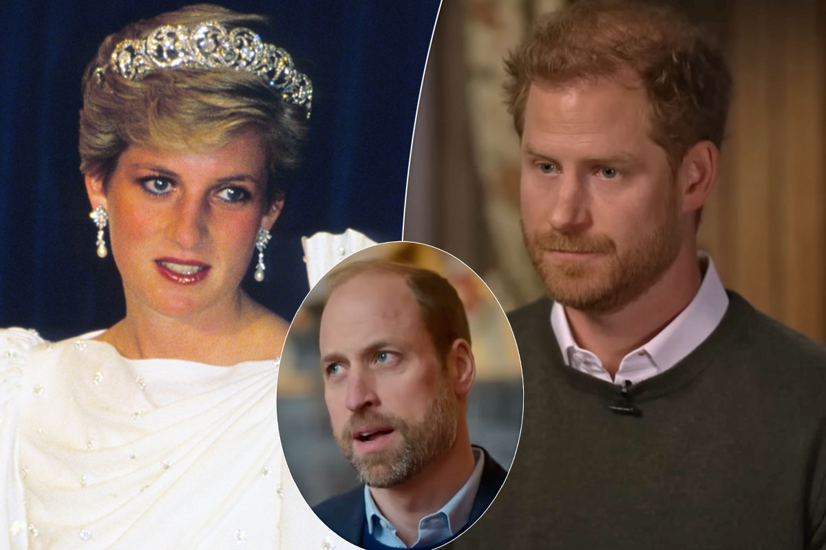 Princess Diana Was ‘Preparing’ Prince Harry To Become King Over ‘Shy’ Prince William!
