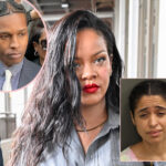 Rihanna's Alleged House Shooter -- Whose Bullets Came SO Close To Hitting The Singer -- Submits Plea!