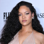 Rihanna Shooting Suspect Identified & Charged With Attempted Murder As Concerning Posts Are Unearthed!
