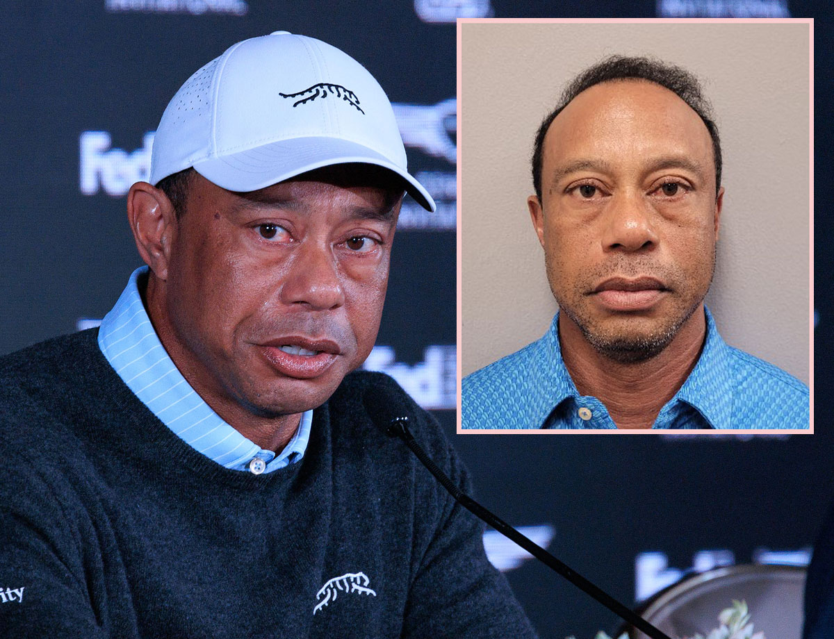 How Tiger Woods Struggled Through Field Sobriety Test After Car Crash