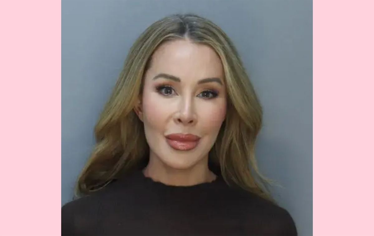 Real Housewives Of Miami Star Lisa Hochstein's Jailhouse Glamour Shot!
