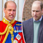 Prince William Slammed For New Portrait That Suddenly 'Cured' His Baldness -- Why That Is Such A Problem!