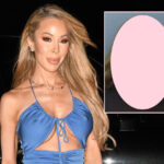 Mugshot Alert! See Real Housewives Of Miami Star Lisa Hochstein's Jailhouse Glamour Shot!