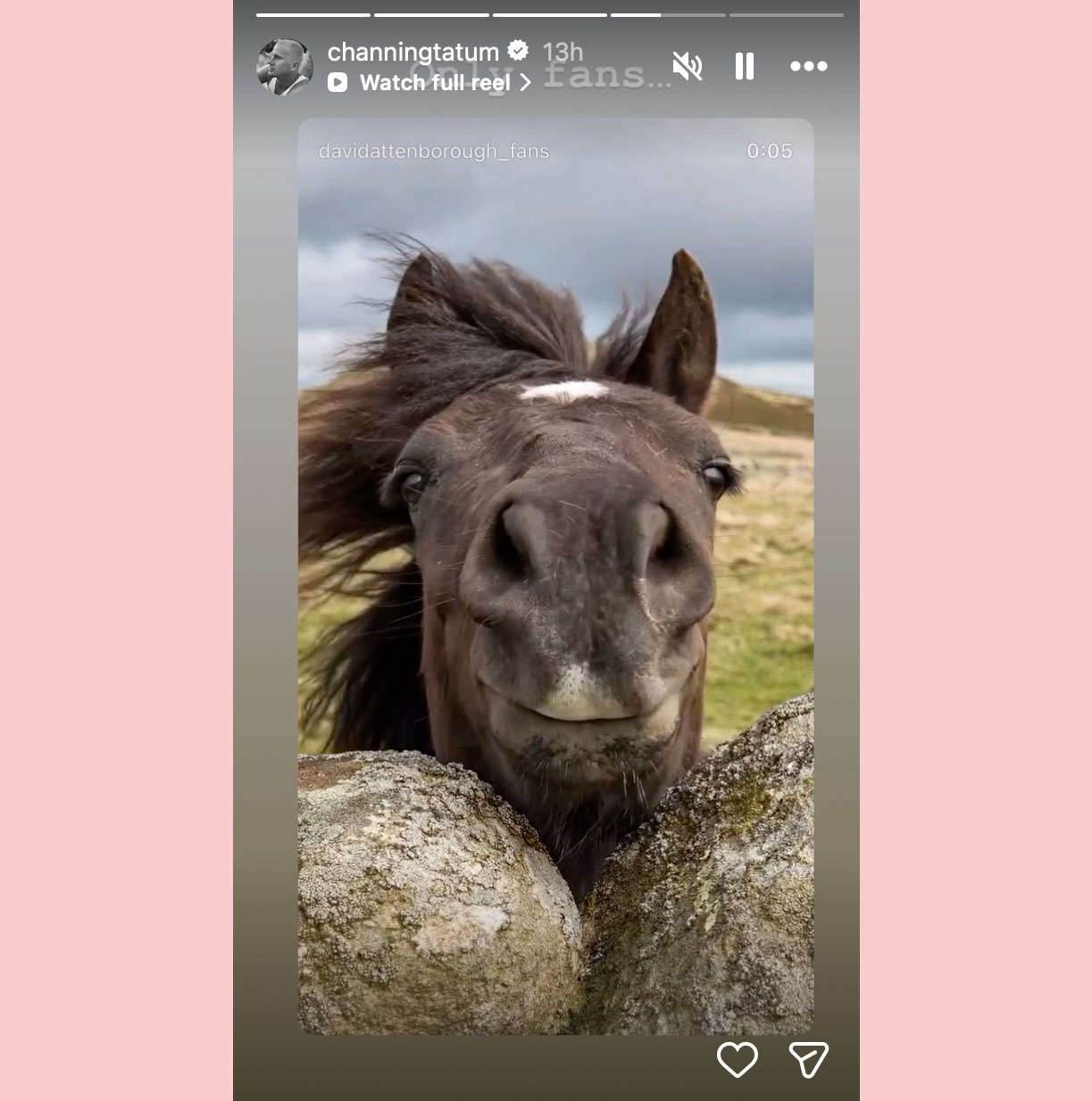 Channing Tatum instagram stories