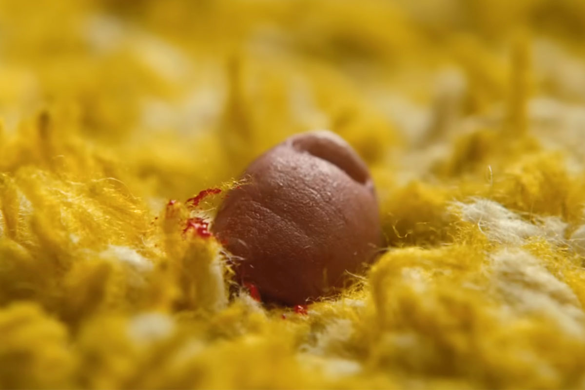 Euphoria s3 Cassie/Nate wedding disaster