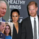 Royal Family Furious About Prince Harry & Meghan Markle's Australia Trip -- Here’s Why It’s So Problematic!