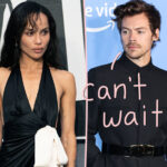 Is THIS The Reason For Harry Styles' Quick Zoë Kravitz Engagement?