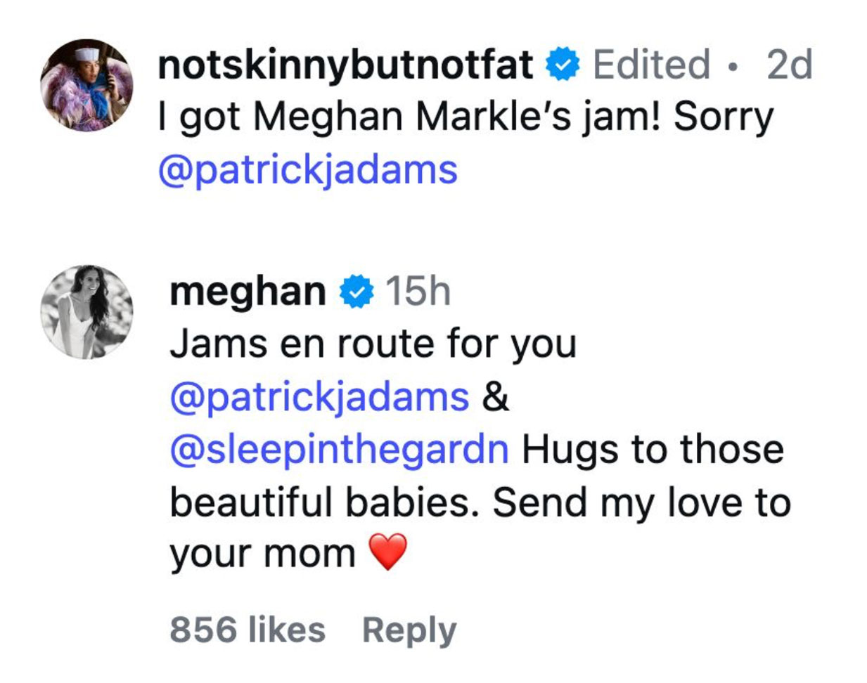 Meghan markle jam comment Patrick j adams