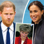 Don't Blame Meghan Markle! Prince Harry Says He NEVER Wanted To Be Working Royal After Mom Princess Diana's Death!