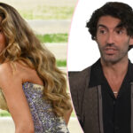 It Ends With Us Actor SLAMS Blake Lively -- Calls Her Post-Settlement Met Gala Appearance 'Contrived' & 'Desperate'!