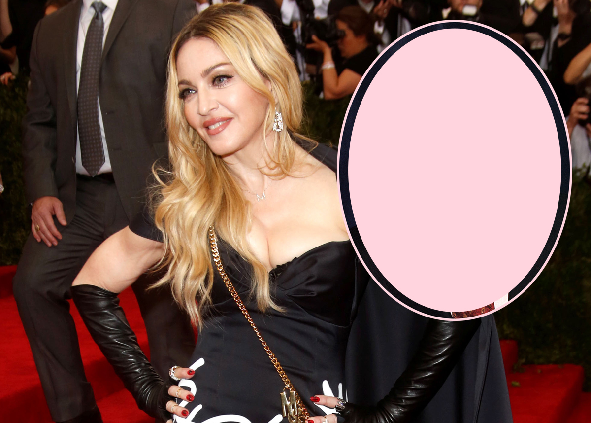 Madonna Reveals Which Celebrity Is Best In Bed! Madonna Reveals Which Celebrity Is Best In Bed!