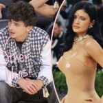 Timothée Chalamet Is Getting Called Out For Not Attending The Met Gala With Kylie Jenner -- Here's Why! 