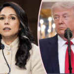 Resigned Or Forced Out? Tulsi Gabbard Exits Trump Administration Amid Husband's 'Extremely Rare Form of Bone Cancer'! 