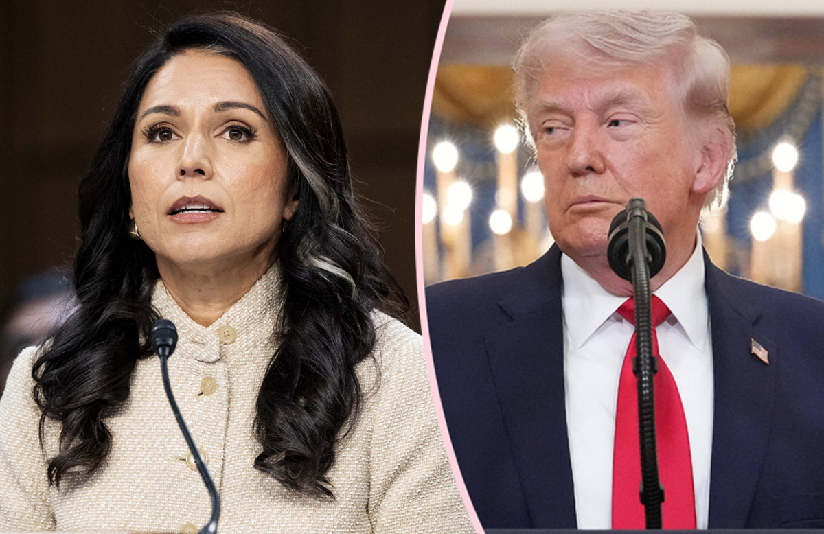 Resigned Or Forced Out? Tulsi Gabbard Exits Trump Administration Amid Husband’s ‘Extremely Rare Form of Bone Cancer’! 