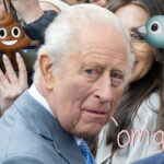 OMG, A Seagull Pooped On King Charles! WATCH!