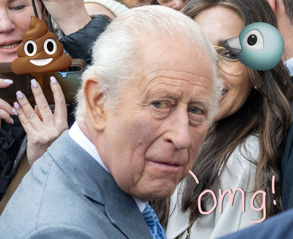 OMG, A Seagull Pooped On King Charles! WATCH!