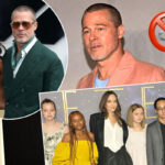 Brad Pitt Opposed To Marriage After Disastrous Angelina Jolie Divorce & Alienation From Kids: REPORT
