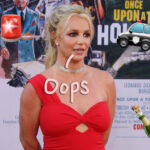 Britney Spears Told Police Officer WHAT During DUI Arrest?! New Details Revealed!