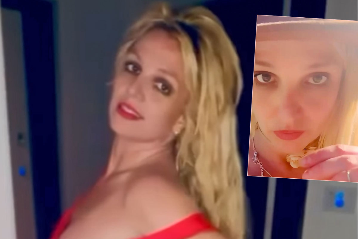 Britney Spears Posts Photo Holding Snake & Says She’s On A ‘Spiritual Journey’ After DUI Arrest & Rehab Stay