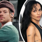 Harry Styles' Friends 'Alarmed' By Speed Of Zoë Kravitz Proposal -- Worried He'll 'Feel Very Controlled' In Rushed Marriage!