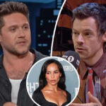 Niall Horan Feuding With Harry Styles?! His Answer To Zoë Kravitz Wedding Question Sparks Concerns!